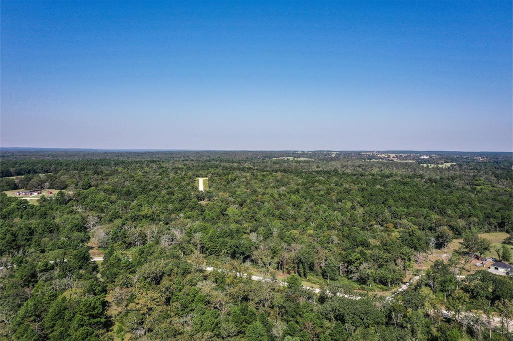 10 Acres Lot 81 Woodland Hills Ranch, Centerville, Texas image 8