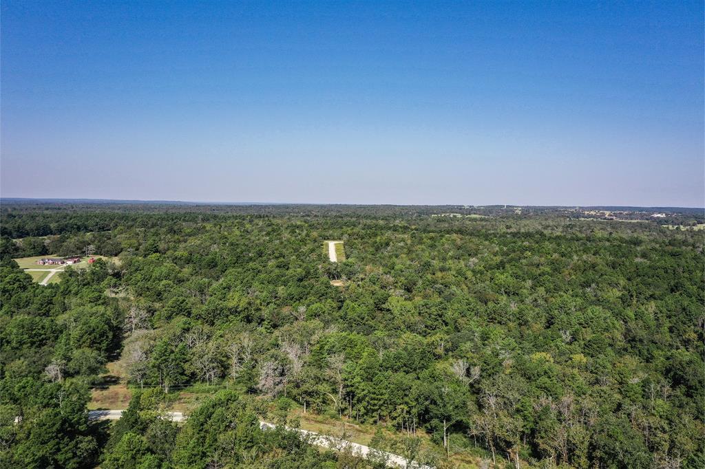 10 Acres Lot 81 Woodland Hills Ranch, Centerville, Texas image 4