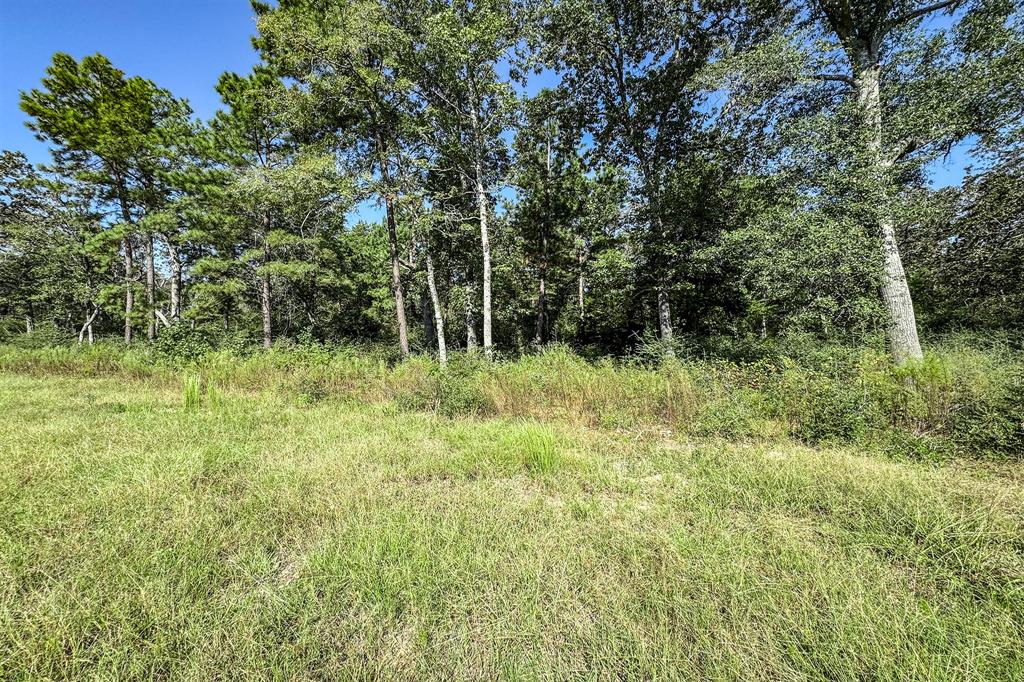 10 Acres Lot 81 Woodland Hills Ranch, Centerville, Texas image 5