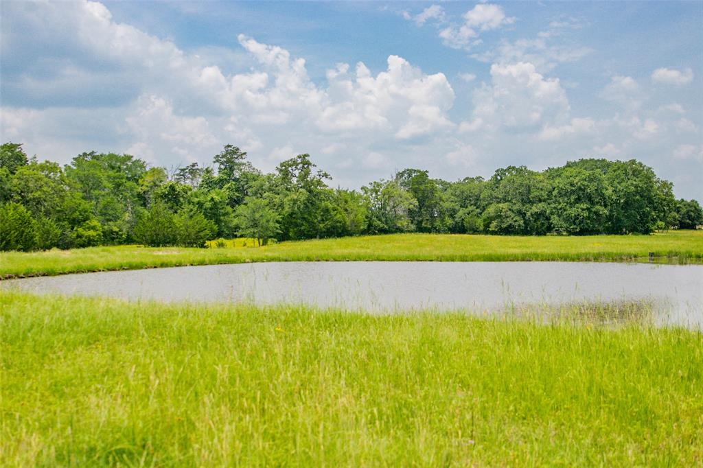 Lot 31 (5.42 Acres) Legacy Road, Somerville, Texas image 15