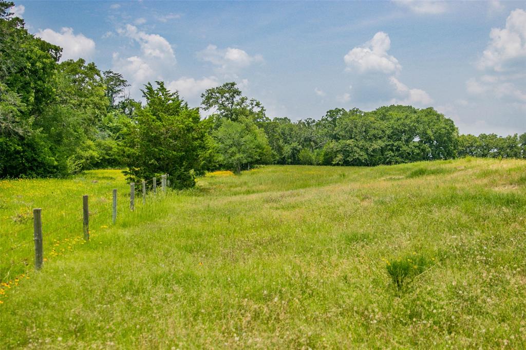 Lot 31 (5.42 Acres) Legacy Road, Somerville, Texas image 17