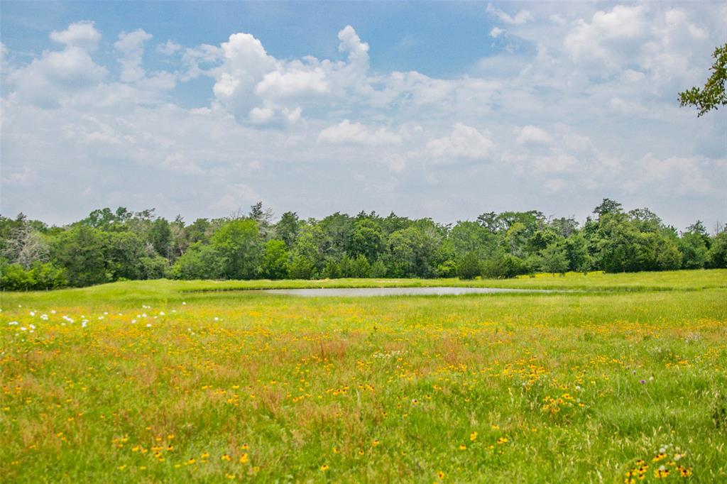 Lot 31 (5.42 Acres) Legacy Road, Somerville, Texas image 10