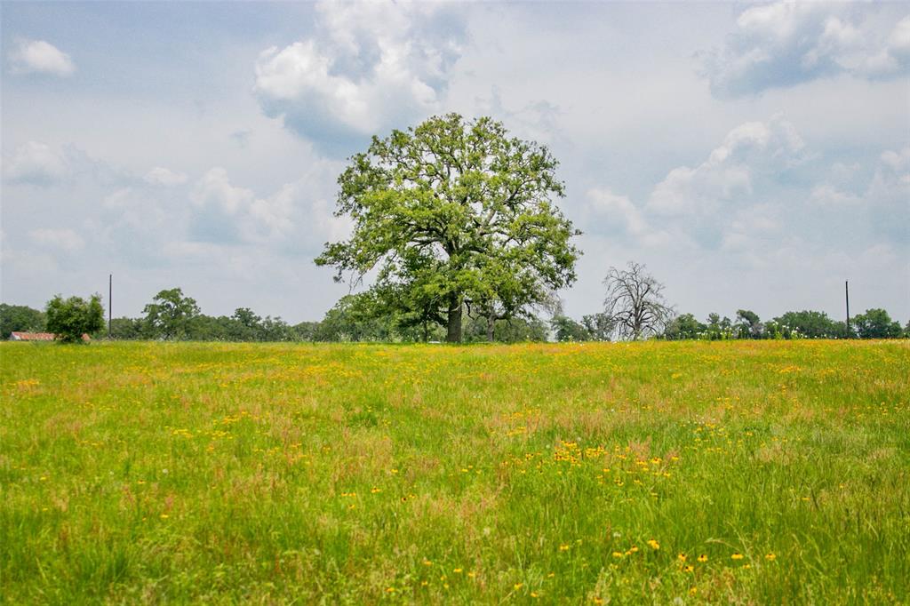 Lot 31 (5.42 Acres) Legacy Road, Somerville, Texas image 23