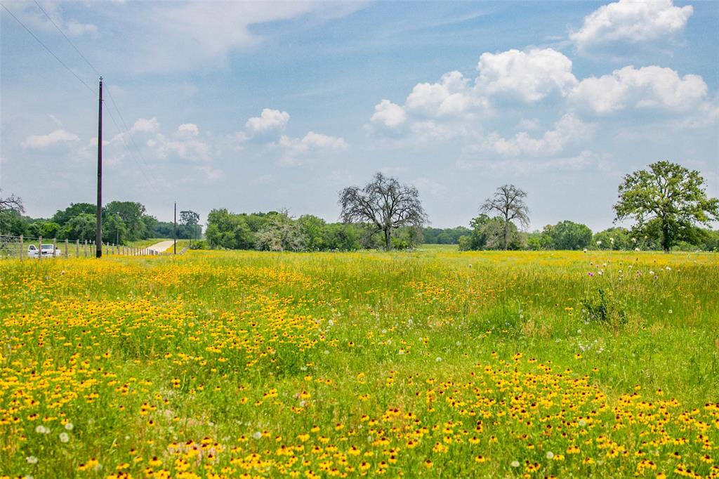 Lot 31 (5.42 Acres) Legacy Road, Somerville, Texas image 9