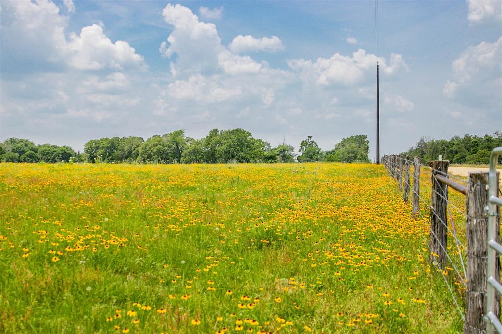 Lot 31 (5.42 Acres) Legacy Road, Somerville, Texas image 5