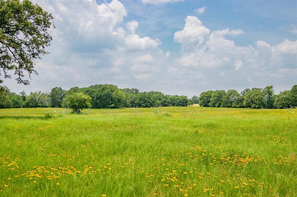 Lot 31 (5.42 Acres) Legacy Road, Somerville, Texas image 26