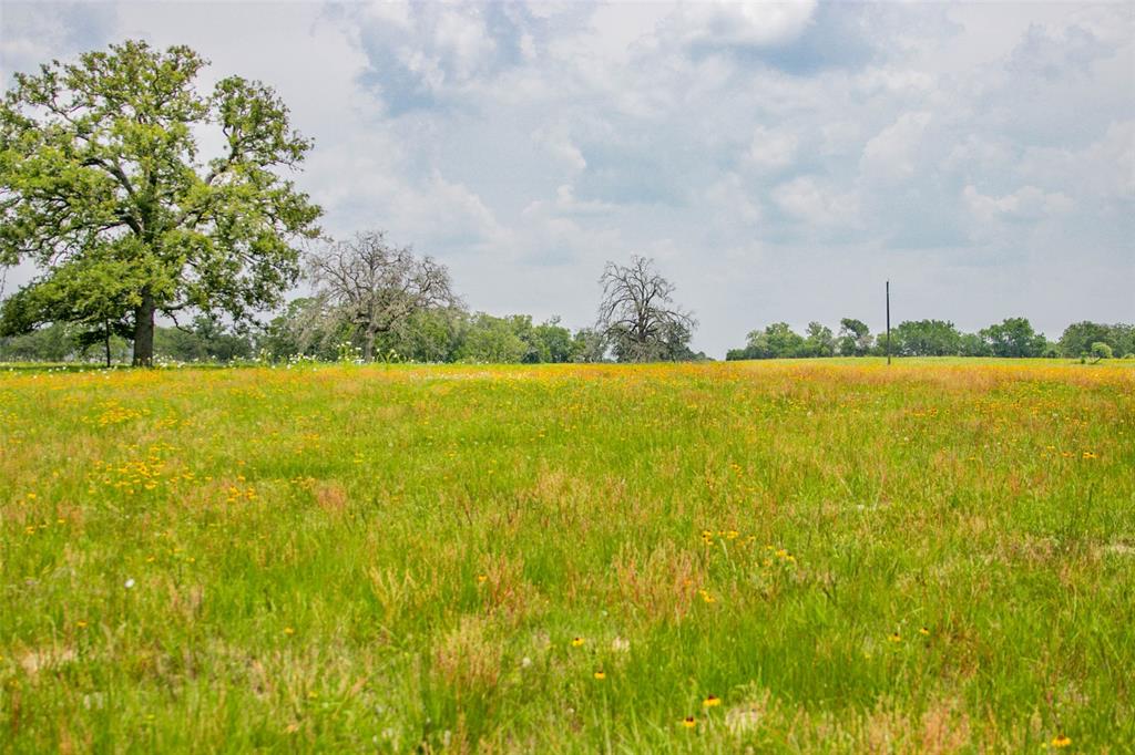 Lot 31 (5.42 Acres) Legacy Road, Somerville, Texas image 11