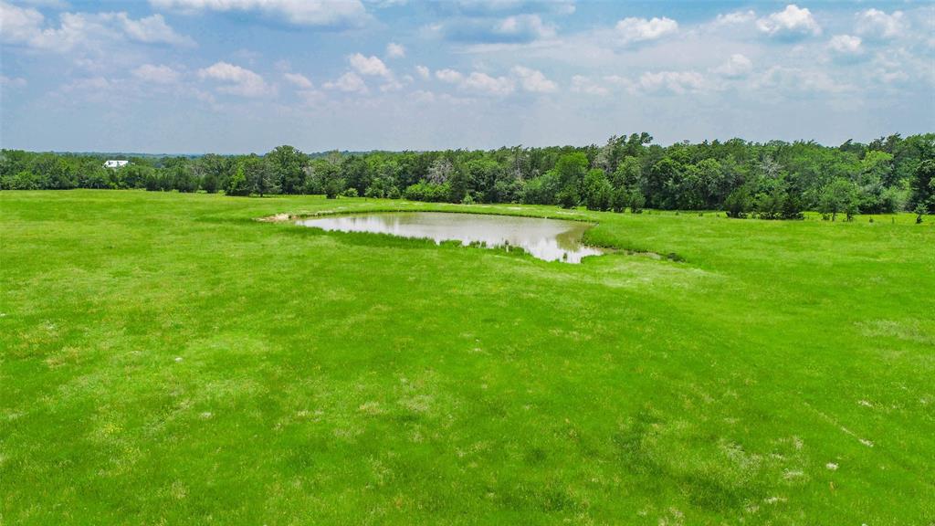 Lot 31 (5.42 Acres) Legacy Road, Somerville, Texas image 14