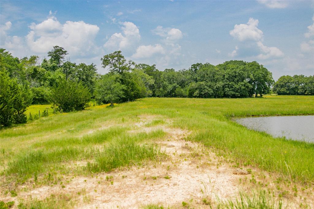 Lot 31 (5.42 Acres) Legacy Road, Somerville, Texas image 7