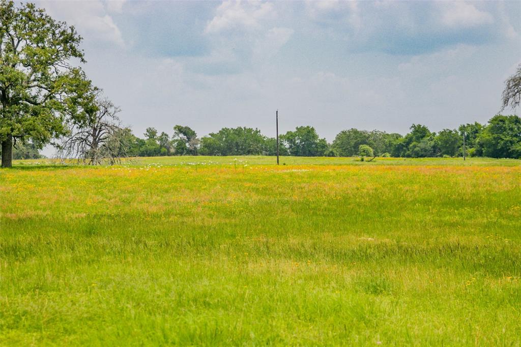 Lot 31 (5.42 Acres) Legacy Road, Somerville, Texas image 21