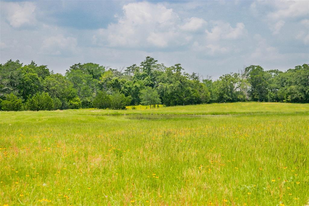 Lot 31 (5.42 Acres) Legacy Road, Somerville, Texas image 22