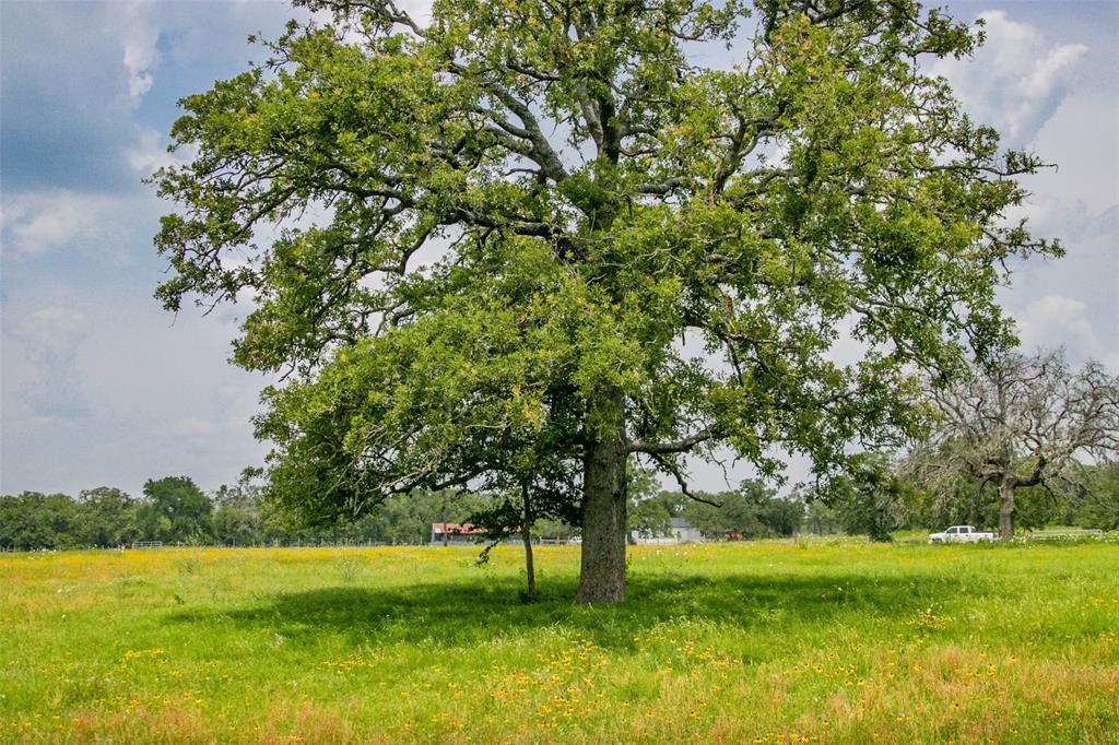 Lot 31 (5.42 Acres) Legacy Road, Somerville, Texas image 24