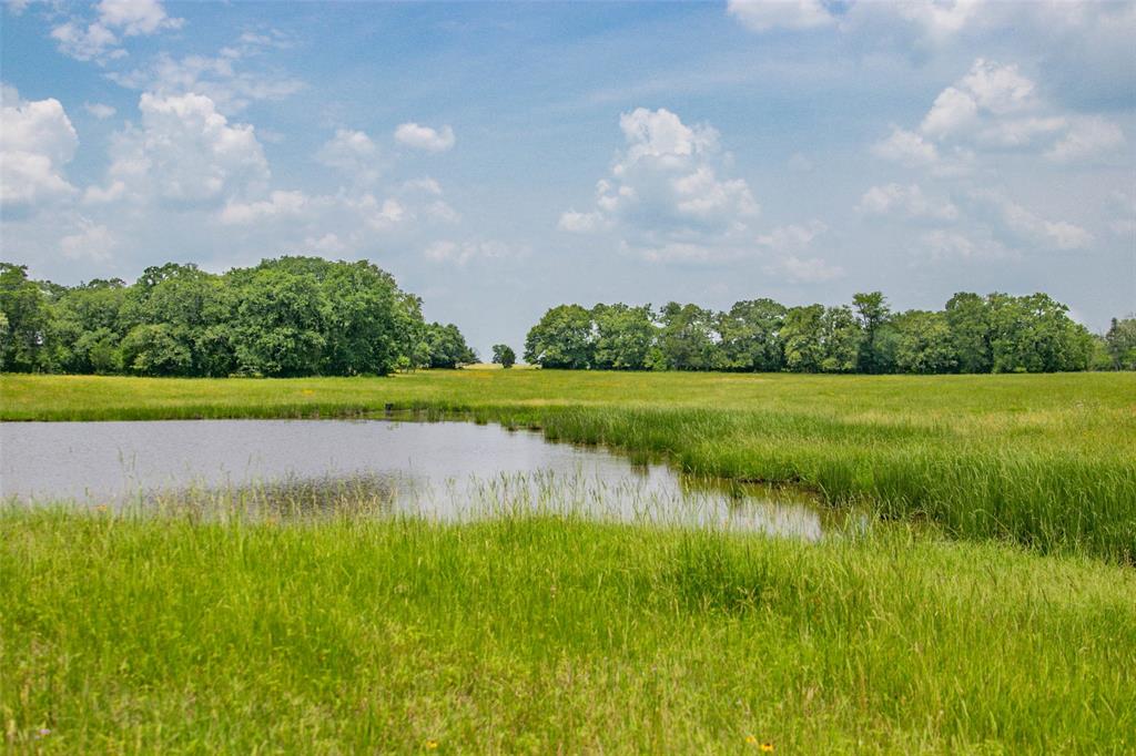 Lot 31 (5.42 Acres) Legacy Road, Somerville, Texas image 12