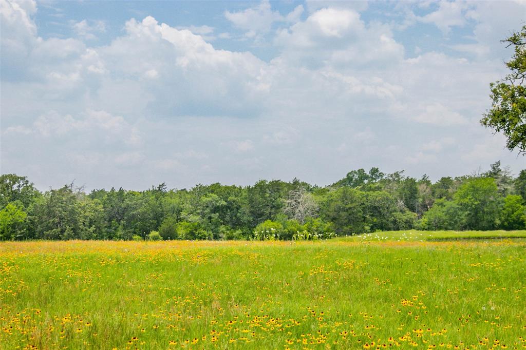 Lot 31 (5.42 Acres) Legacy Road, Somerville, Texas image 27