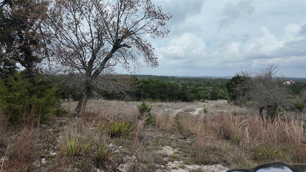 12621 Fitzhugh Road, Austin, Texas image 15