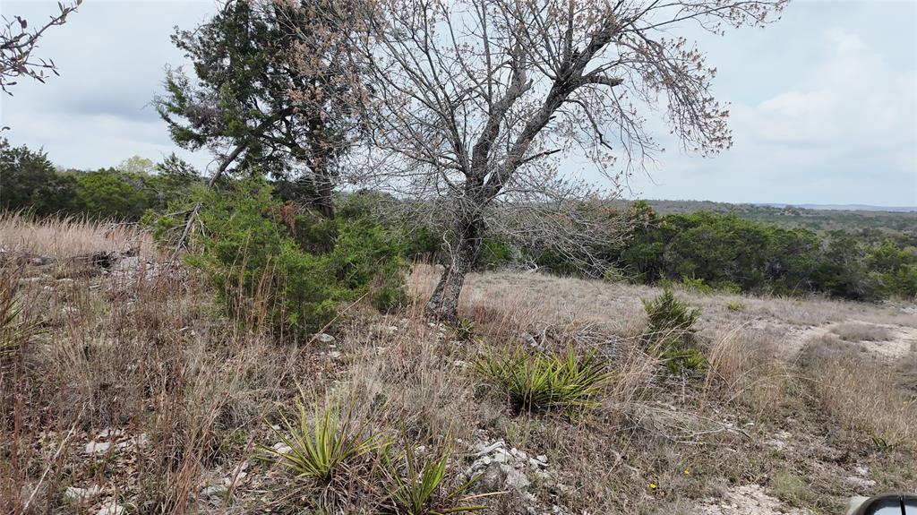 12621 Fitzhugh Road, Austin, Texas image 16