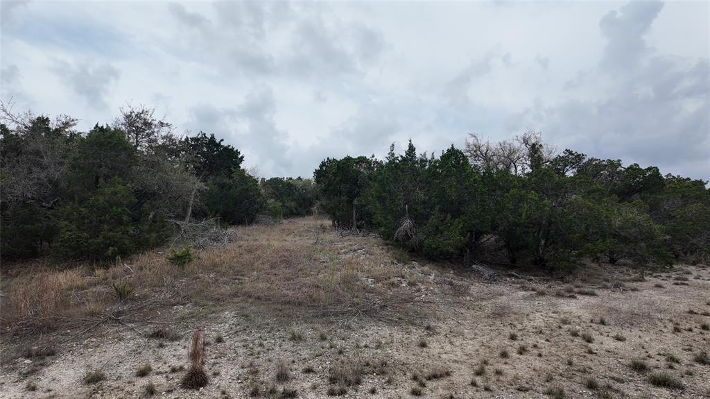12621 Fitzhugh Road, Austin, Texas image 14