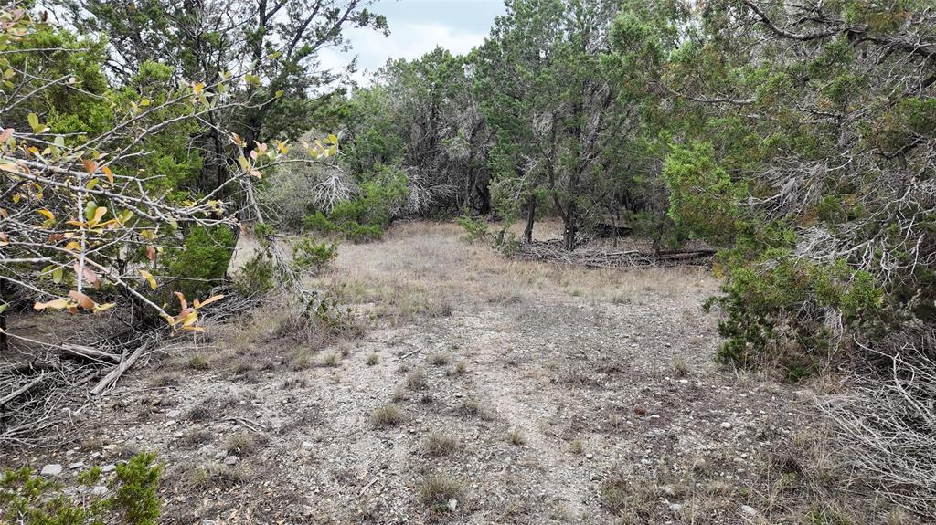 12621 Fitzhugh Road, Austin, Texas image 6