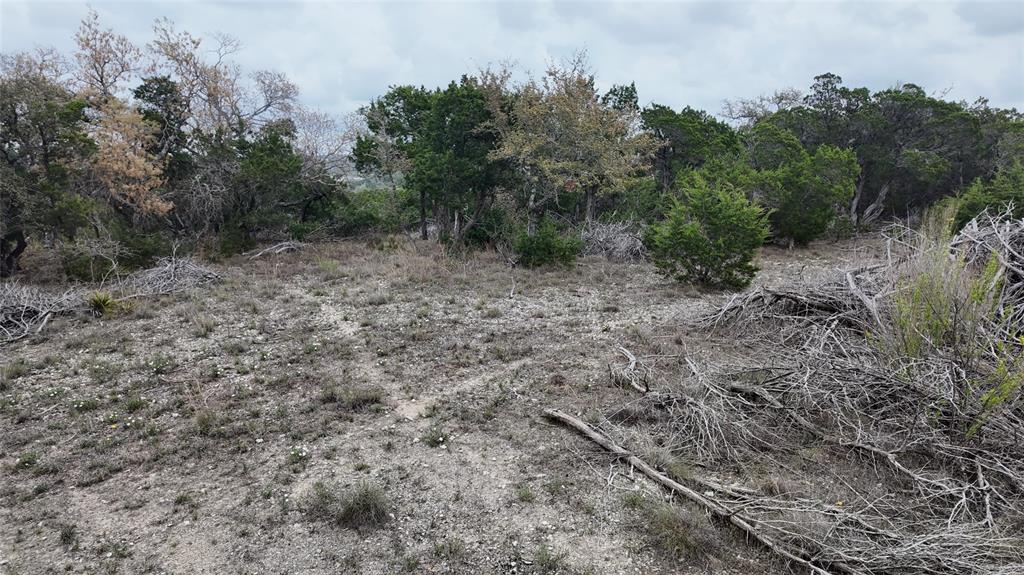 12621 Fitzhugh Road, Austin, Texas image 11
