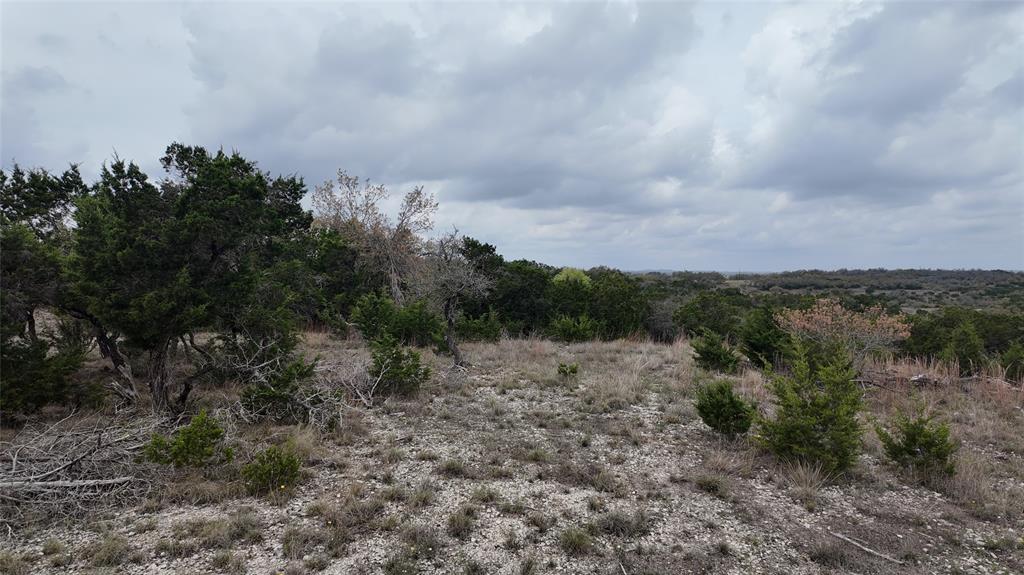 12621 Fitzhugh Road, Austin, Texas image 13
