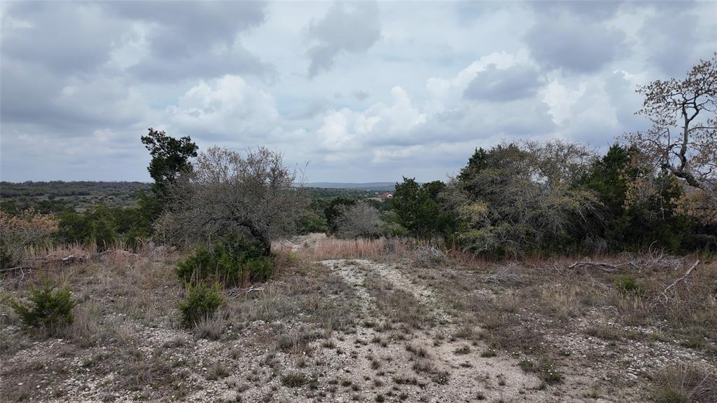12621 Fitzhugh Road, Austin, Texas image 12