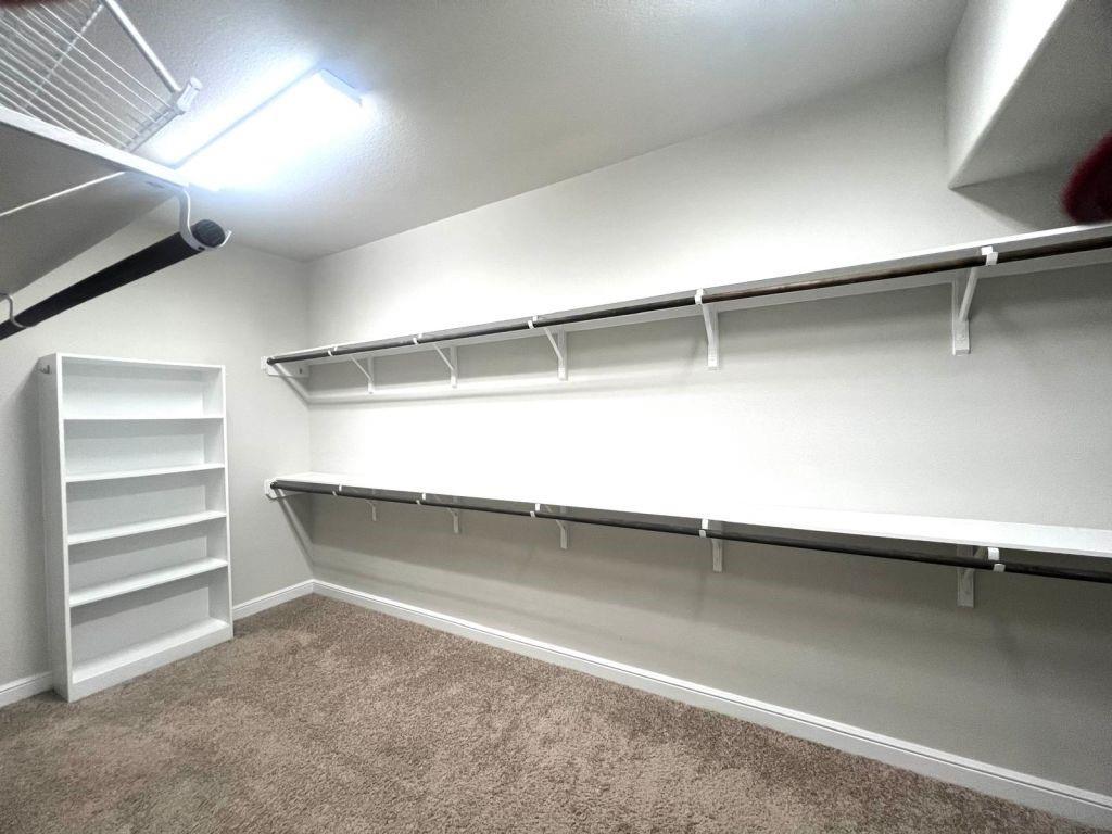 4923 Lacebark Pine Trail, Rosenberg, Texas image 14
