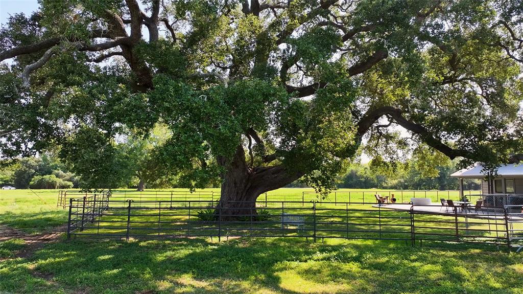 911 Joiner Road, La Grange, Texas image 23