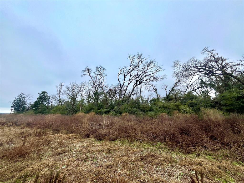 60Acres TBD Cr 417 Road, Normangee, Texas image 3