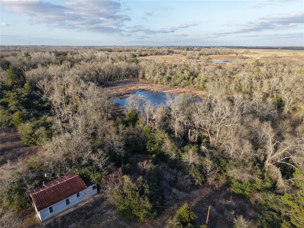 60Acres TBD Cr 417 Road, Normangee, Texas image 4