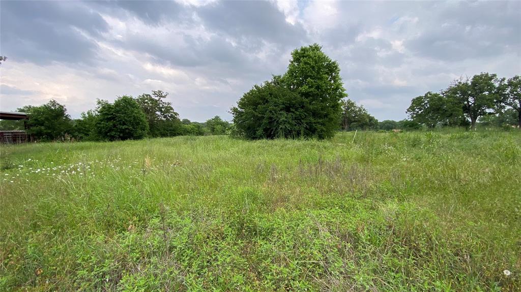 7077 County Road 461, Normangee, Texas image 9