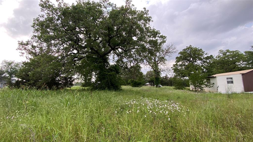 7077 County Road 461, Normangee, Texas image 6