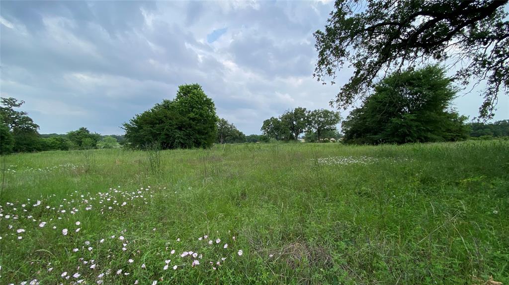 7077 County Road 461, Normangee, Texas image 5