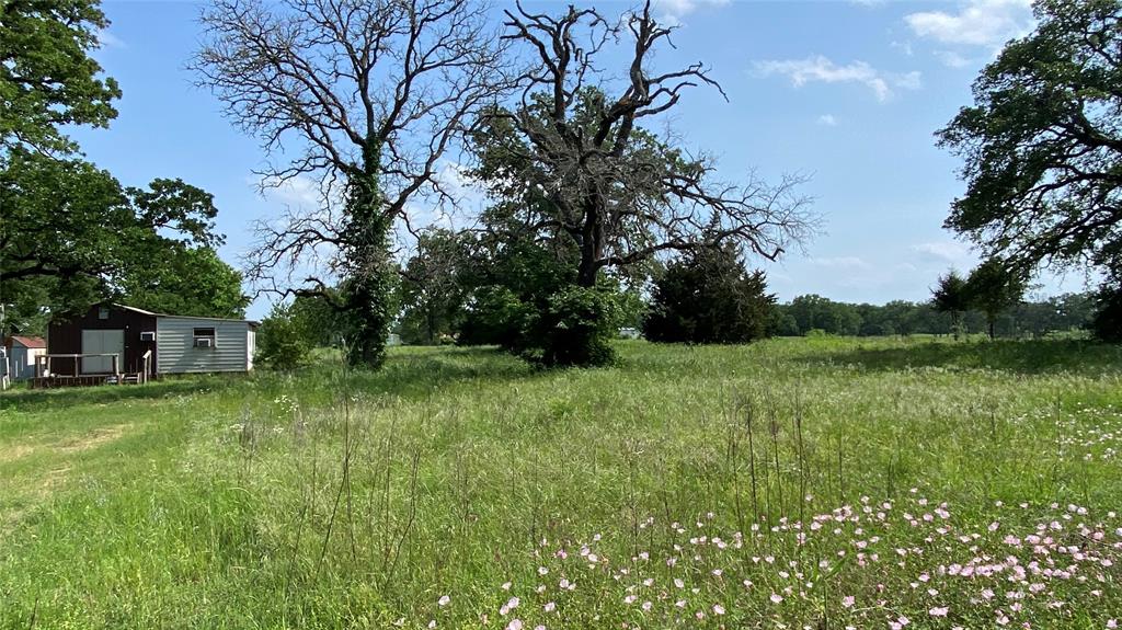 7077 County Road 461, Normangee, Texas image 1