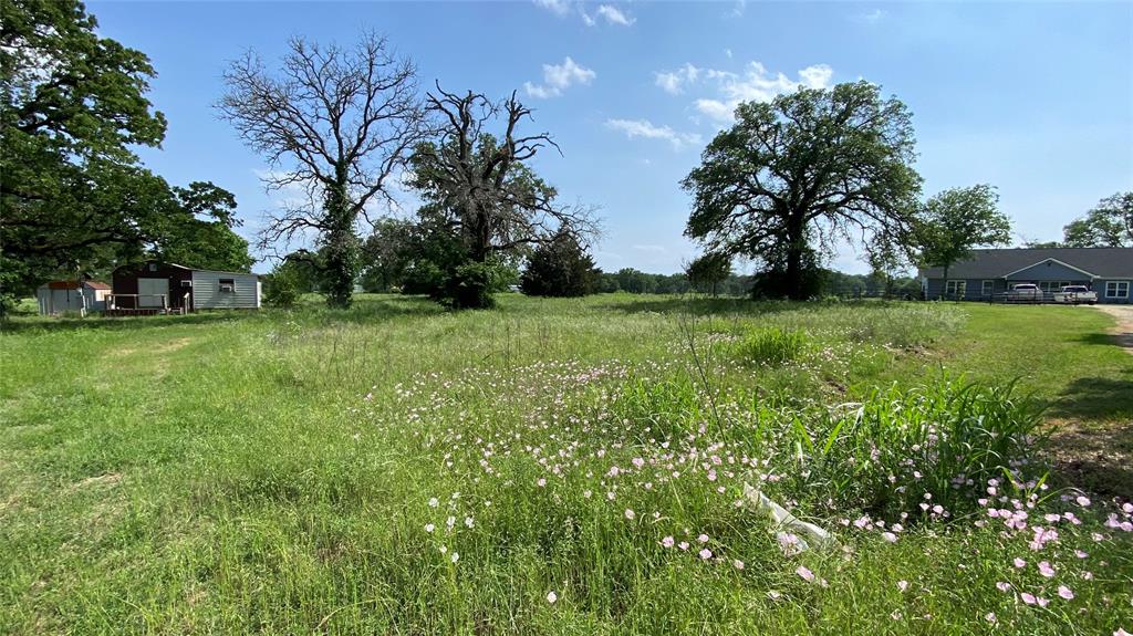 7077 County Road 461, Normangee, Texas image 3