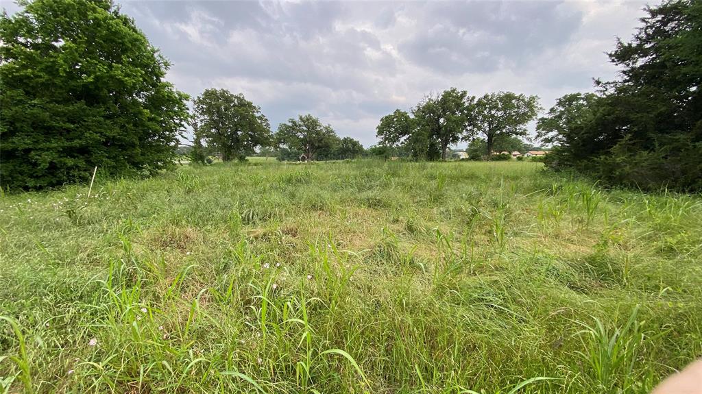 7077 County Road 461, Normangee, Texas image 8