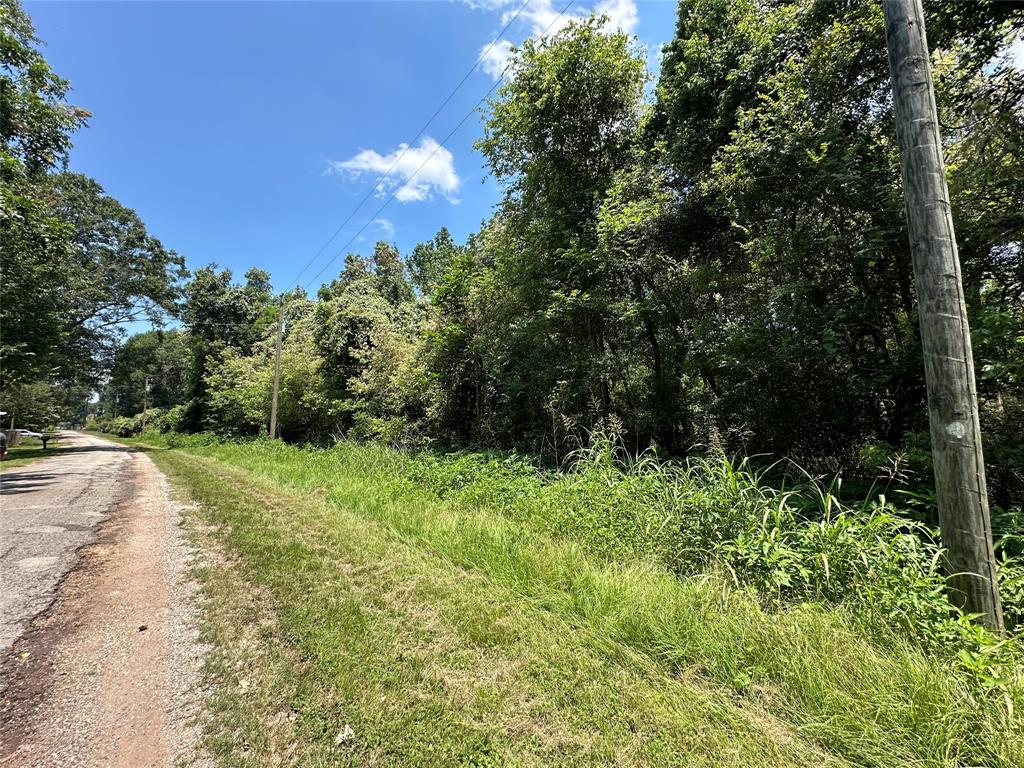 Robin Street, Shepherd, Texas image 5