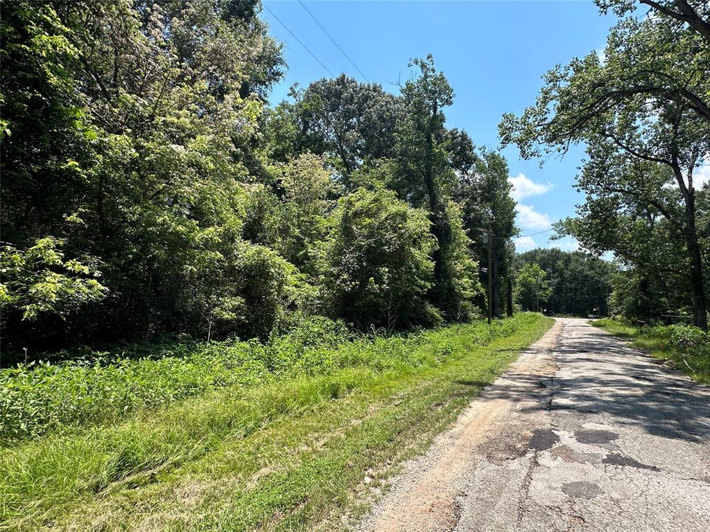 Robin Street, Shepherd, Texas image 4