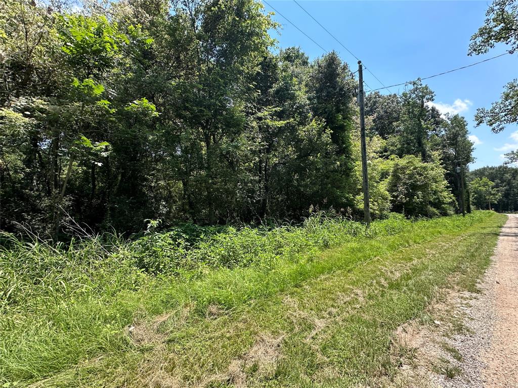 Robin Street, Shepherd, Texas image 6