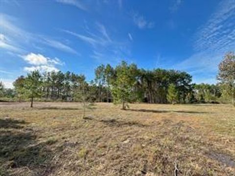 Photo of 212 County Road 5002, Cleveland, TX 77327 (MLS # 72692038)