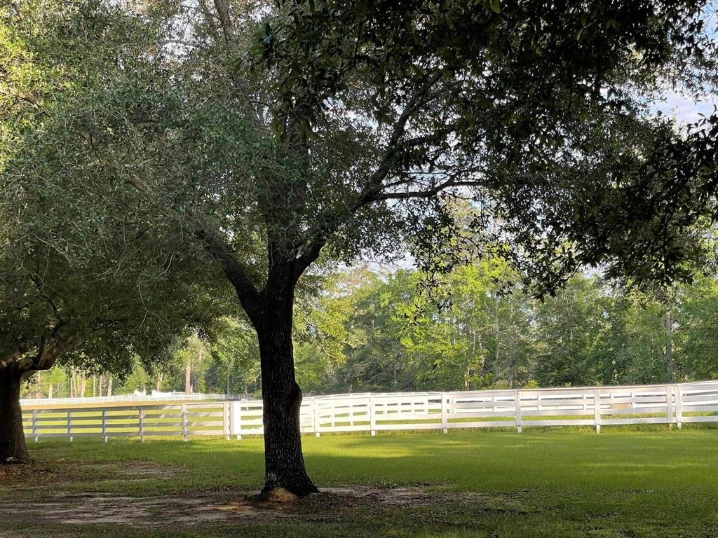 TBD Lakeland Loop Lot 87, Hillister, Texas image 10