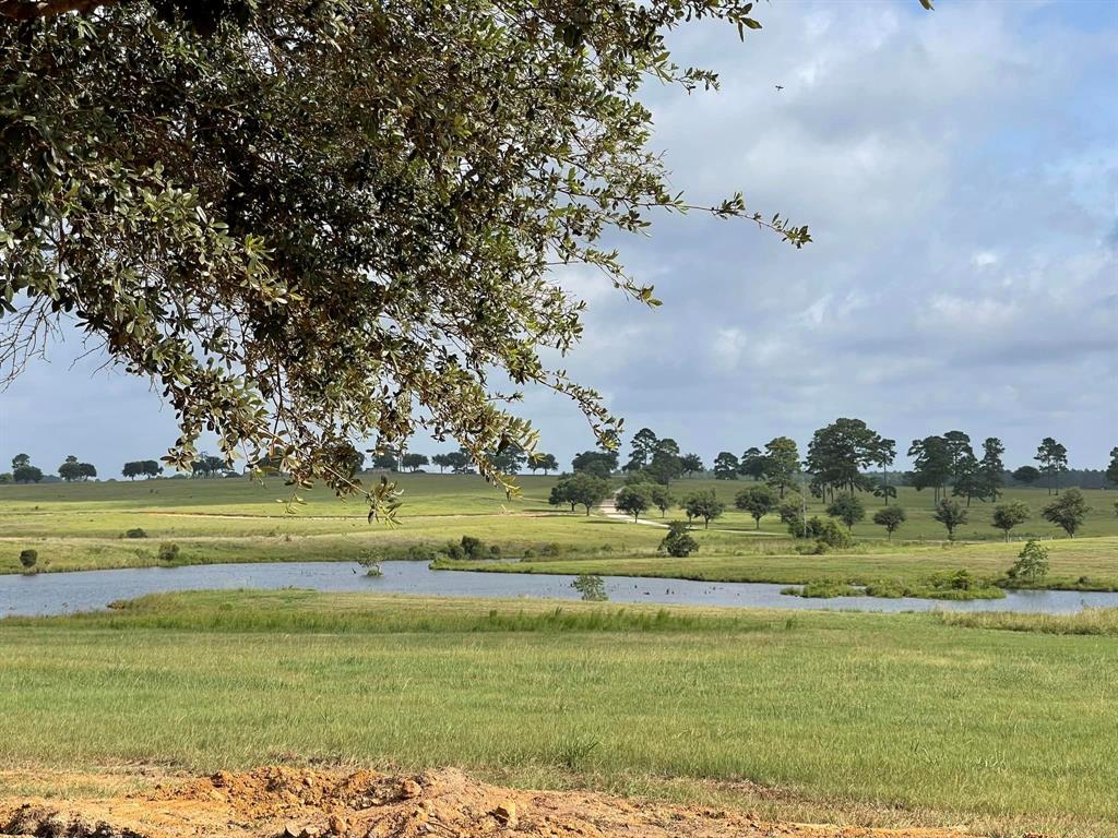 TBD Lakeland Loop Lot 87, Hillister, Texas image 8