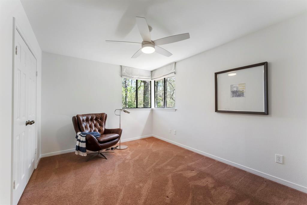 27 Sky Terrace Place, The Woodlands, Texas image 20