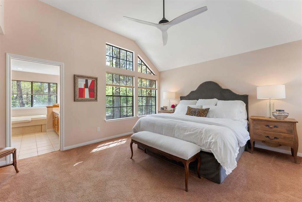 27 Sky Terrace Place, The Woodlands, Texas image 16