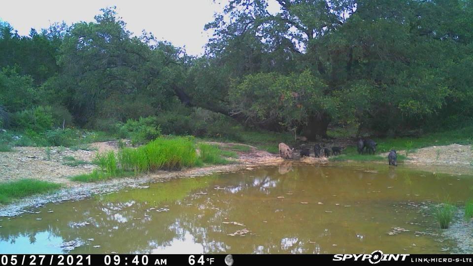 5340 Cr 429, Uvalde, Texas image 9