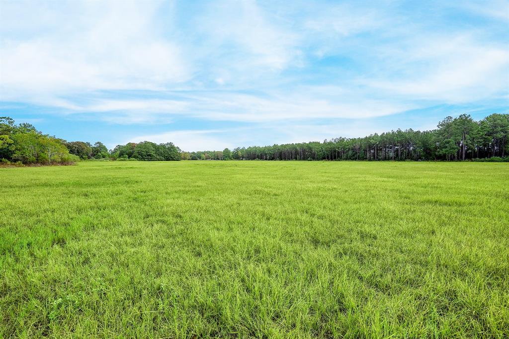 19800 Cedar Lane, Tomball, Texas image 6