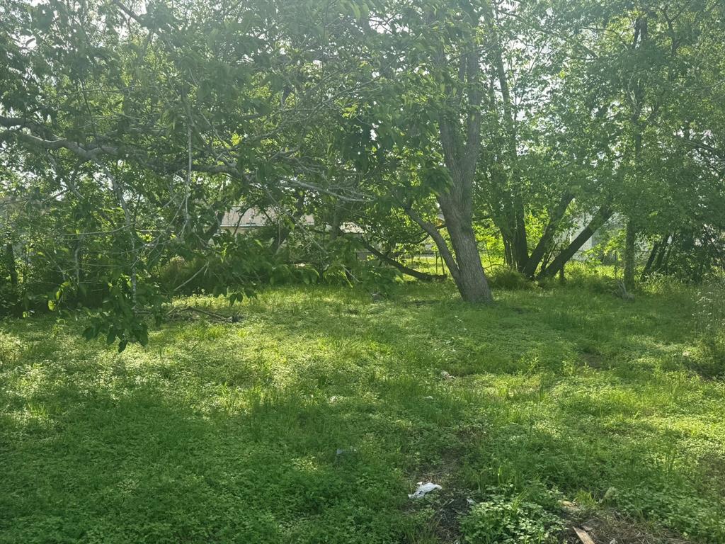 414 Correll Avenue, Wharton, Texas image 1