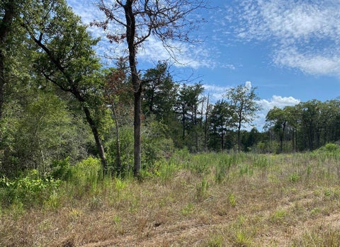 Vacant Land For Sale - TBD High Crossing Road Tract 8<br/> Bastrop County, Smithville, TX 78957