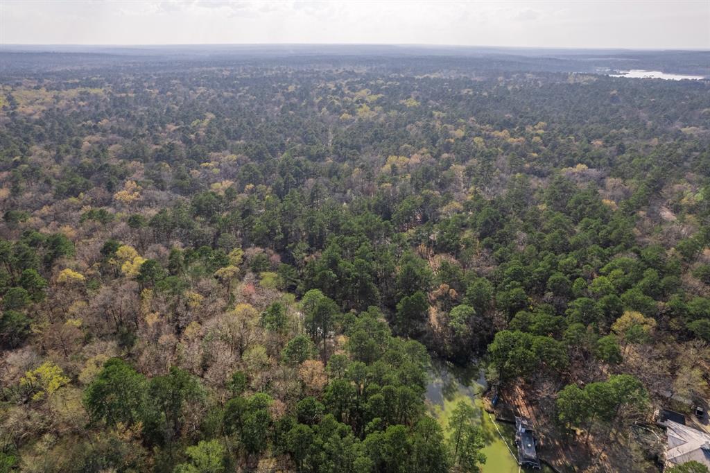 Lot 2 Poland Spring Ct Court, Huntsville, Texas image 9