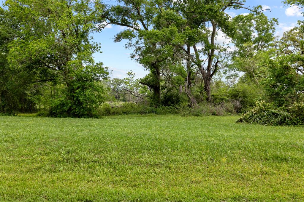 21702 Chenango Lake Drive, Angleton, Texas image 16