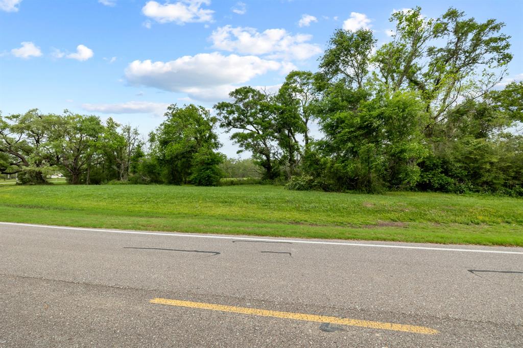21702 Chenango Lake Drive, Angleton, Texas image 15